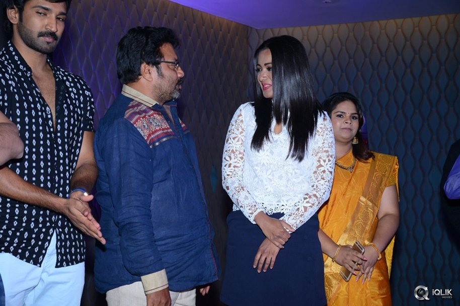 Sarrainodu-Movie-Success-Meet